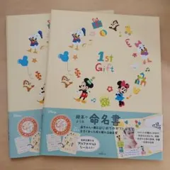 Disney 絵本のような命名書 2冊セットのサムネイル
