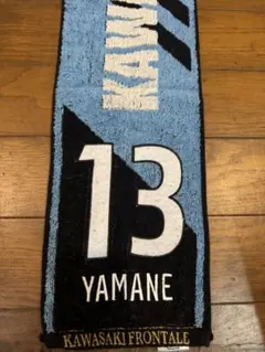 Item thumbnail for item 7b9d9784-083f-454a-90c4-8ad2d41a42f7