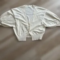 Item thumbnail for item 2d0cd328-019a-43a6-bdc4-73b12fa0843f