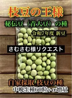 さむさむ様 リクエスト 2点 まとめ商品