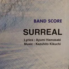 Item thumbnail for item b7ce34c1-7ac5-46e6-881e-536fca6366e8