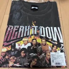 ランペ Tシャツ Mサイズ