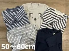 Item thumbnail for item 132c361a-8586-4ab9-9c70-5c5b0cbde678