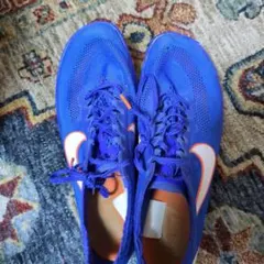 Nike ランニングウェア　ヴェイパーフライ　アルファフライ　ドラゴンフライ Nike ランニングウェア ヴェイパーフライ ドラゴンフライ アルファ
