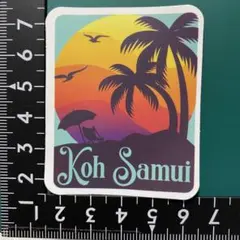 防水ステッカーシール1899   サーフィン　ボード　ハワイ   波乗り