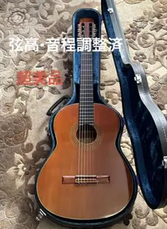 【はっしぃ。様専用：弦高/音程調整済・超美品】 ETUDE G-180