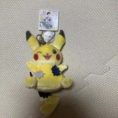 ピカチュウ ぬいぐるみキーチェーン ユニバーサルスタジオジャパン限定