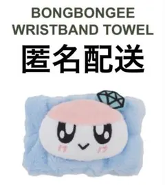 SEVENTEEN ボンボンイ　ツアーグッズ