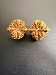 Item thumbnail for item 8acc76e9-fc93-417a-8129-ccf3b6220143