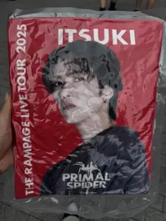 THE RAMPAGE PRIMAL SPIDER 藤原樹 クッション