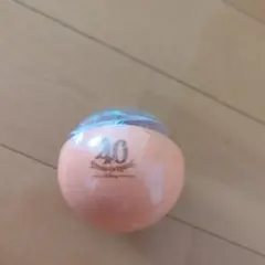 TOKYODISNEYLAND 40周年記念 カプセルトイ