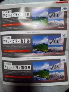 日本駐車場開発 リフト及びアクティビティ割引券３枚