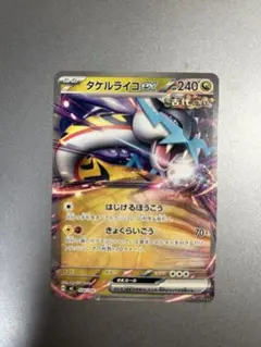 ソ*】様 タケルライコex ノーマル加工　スタートデッキ100
