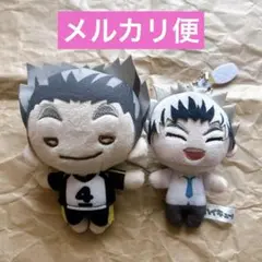 2025年最新】ハイキュー にとたん ぬいぐるみ 木兎の人気