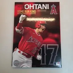 Shohei Ohtani ホームランキング 記念グッズ