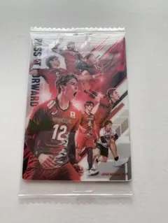 日本代表 男子バレーボール ツインウエハース　集合カード