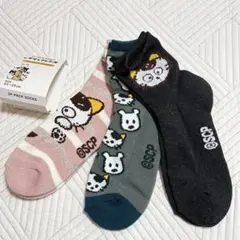 新品未使用　タマフレンズ　ソックス 3足セット 23-25cm