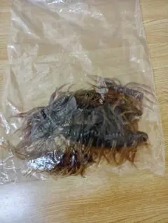ハイドアップ ワーム色々セットのサムネイル