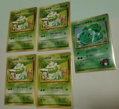 エリカのフシギダネ　コロコロプロモ　付録　旧裏　5枚セット