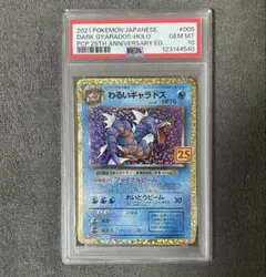2026年最新】わるいギャラドス psa10の人気アイテム - メルカリ