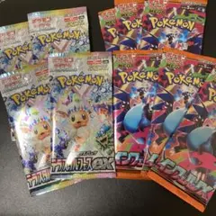 テラスタルフェスexインフェルノX