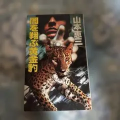 黄金豹 江戸川乱歩　少年探偵　絶版　希少本 黄金豹 江戸川乱歩 少年探偵 絶版 希少本 - メルカリ