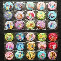 ディズニー 刺繍缶バッジ 全30種 コンプ ラプンツェル 美女と野獣 1弾 2弾