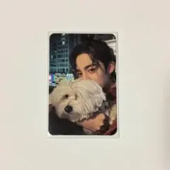 サイン入り　チェキ　トレカ　ウォヌ 2025年最新】ウォヌ チェキ サインの人気アイテム - メルカリ