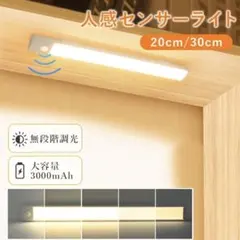 人感LEDライト 温白色 20cm×2本セット センサーバーライト