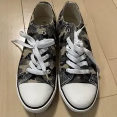 Item thumbnail for item 65cfaf21-0126-4697-a196-258044b3060e