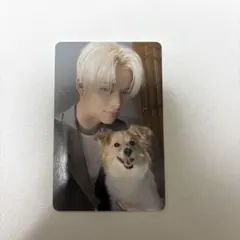 アンケートトレカ ニキ　ENHYPEN