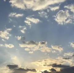 うぃっち様 専用