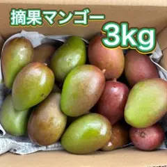 2026年最新】摘果マンゴーの人気アイテム - メルカリ