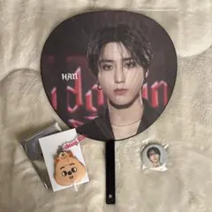 Stray Kids HAN ハンジソン domin ATE まとめ売り