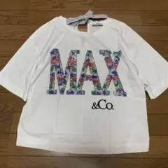 Item thumbnail for item a389ba78-6d07-49f1-b64e-b196adc905b9