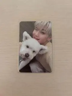 ZB1 NEVER SAY NEVER テレ レオ トレカ デジパック