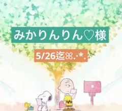みかりんりん♡様 専用ページ