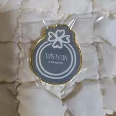 TXT MUSEUM テヒョン ピンバッジ