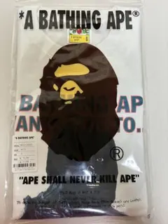 A BATHING APE x HIDDEN tee tシャツのサムネイル
