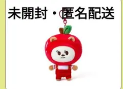 TXT プルバトゥ ヨンモン チェスビン 4点セット - メルカリ
