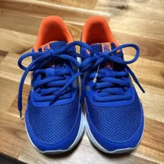 Item thumbnail for item baf6ad4d-1658-4667-98dd-29f6138d0640