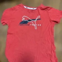 PUMA 赤 Tシャツ FOREVER FASTER