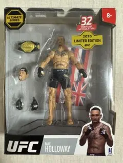 マキシマムアグレッション トリプルH プロレス フィギュア 12インチ
