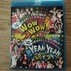Hello!Project 2011 SUMMER～ニッポンの未来は YEAH… - メルカリ