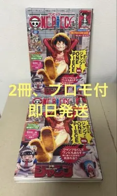 2冊 ONEPIECE magazine ワンピースマガジン 20号 プロモ付