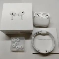 AirPods Pro（第1世代）本体　【ジャンク品】