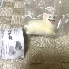 コーギー カプセルトイ