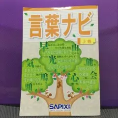 言葉ナビ 上巻 SAPIX　チェック書き込みありのサムネイル