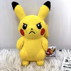 ポケモン いろんなおかお ぬいぐるみ ピカチュウ 30周年 怒り