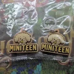 MINITEENぷっくりめじるしアクセサリー DOA ドギョム ２個セット